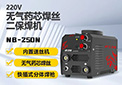 【俄罗斯专享会294之星】NB-250N｜气保焊机｜轻工便携/家用工业两相宜，一机多能焊出专业感！