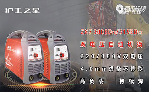 俄罗斯专享会294之星ZX7 300/315EDIII电焊机
